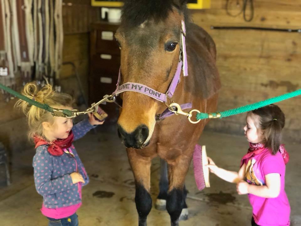 pony camp